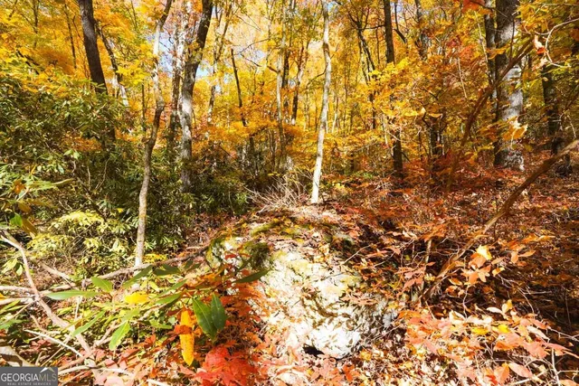 $89,000 | 0 Bald Mountain Road, Unit 55 57, Dillard, GA 30537