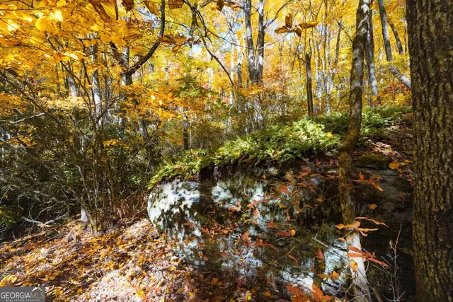 $89,000 | 0 Bald Mountain Road, Unit 55 57, Dillard, GA 30537