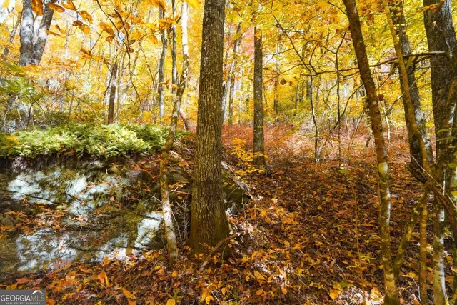 $89,000 | 0 Bald Mountain Road, Unit 55 57, Dillard, GA 30537