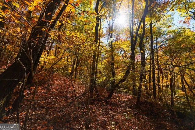 $89,000 | 0 Bald Mountain Road, Unit 55 57, Dillard, GA 30537