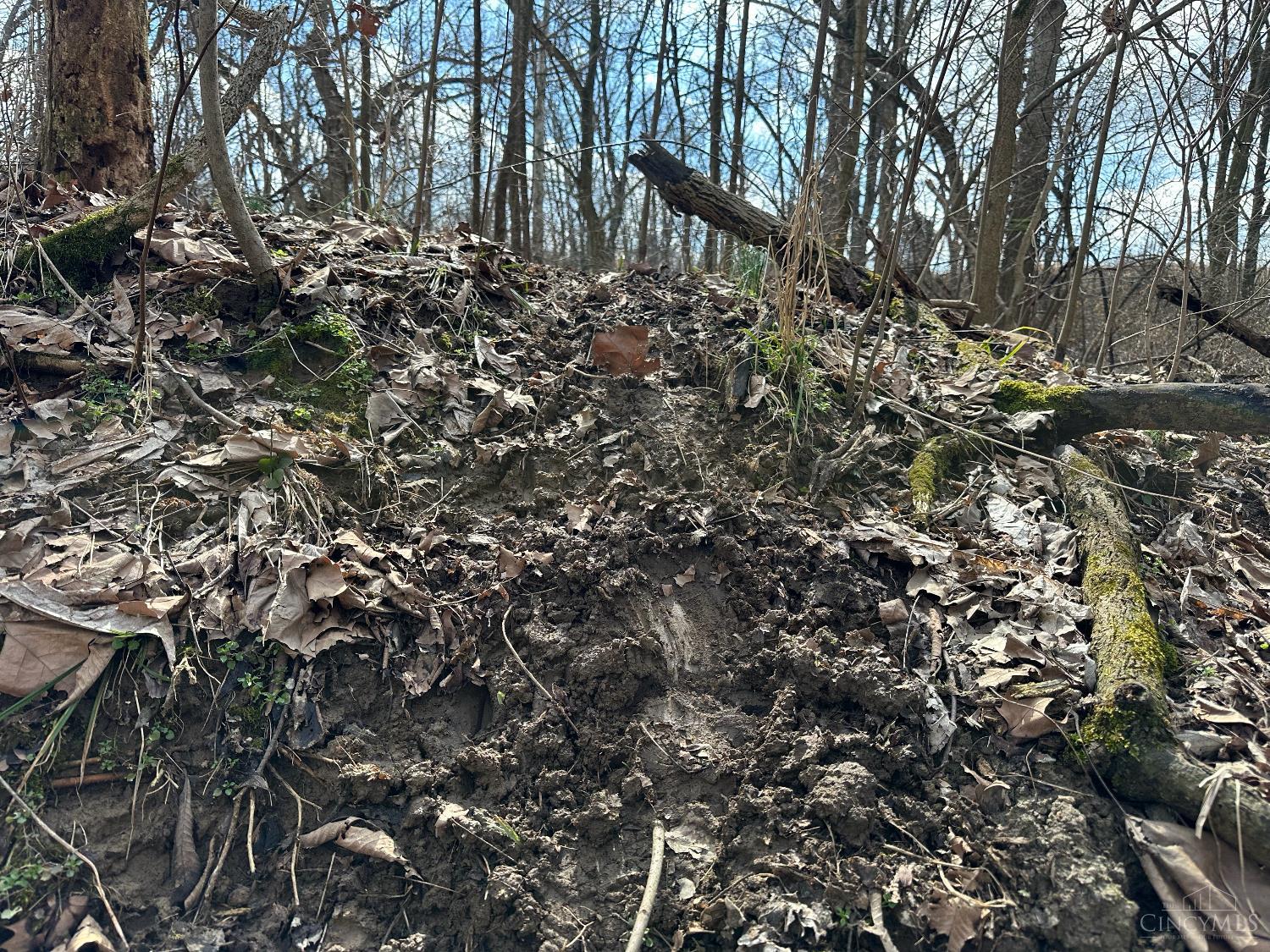 0 Wilson Road Winchester, OH 45697 - Photo 51 of 69