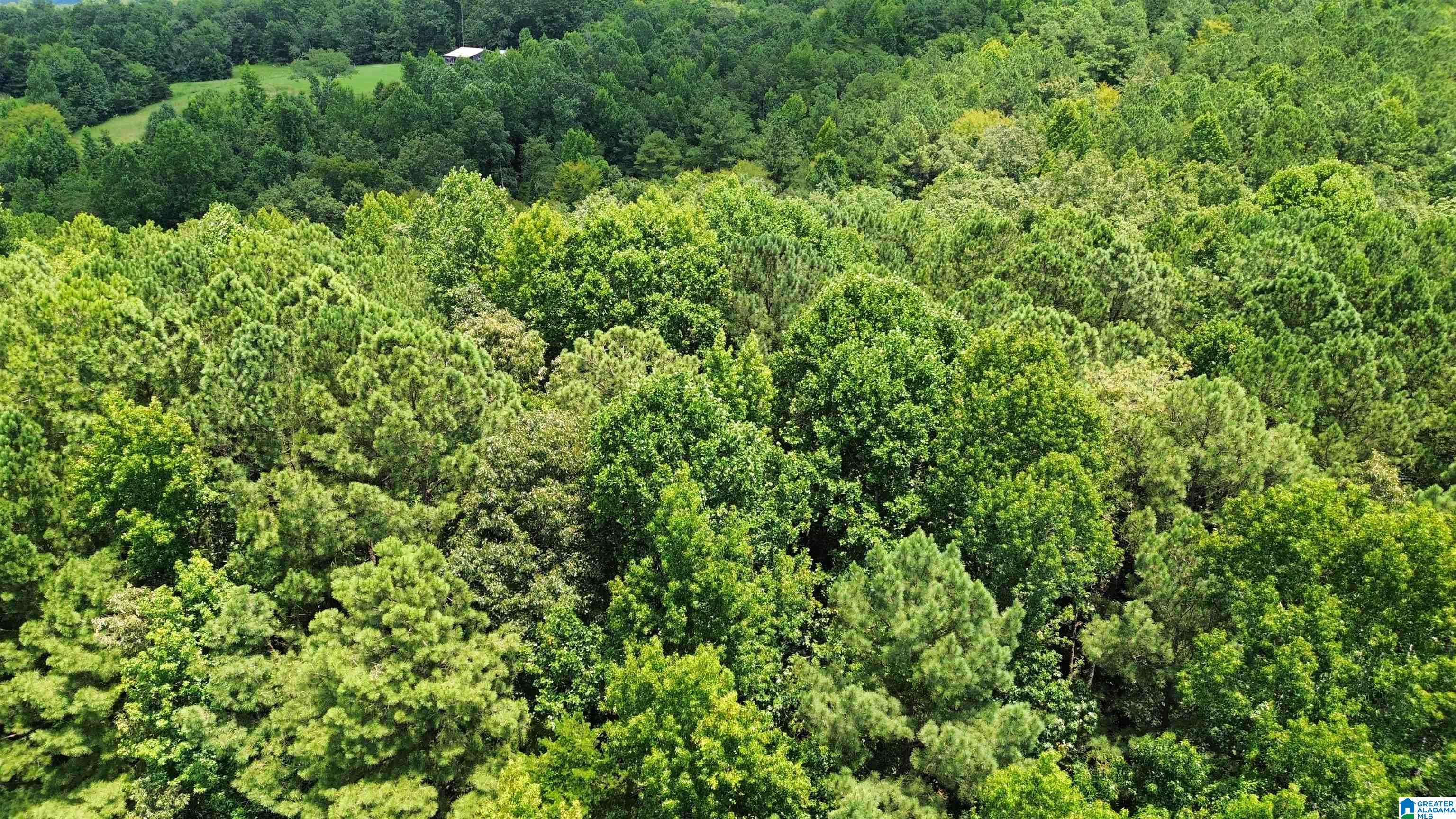 0 Hollow Creek Road, Unit 13 45 Hayden, AL 35079 - Photo 4 of 8