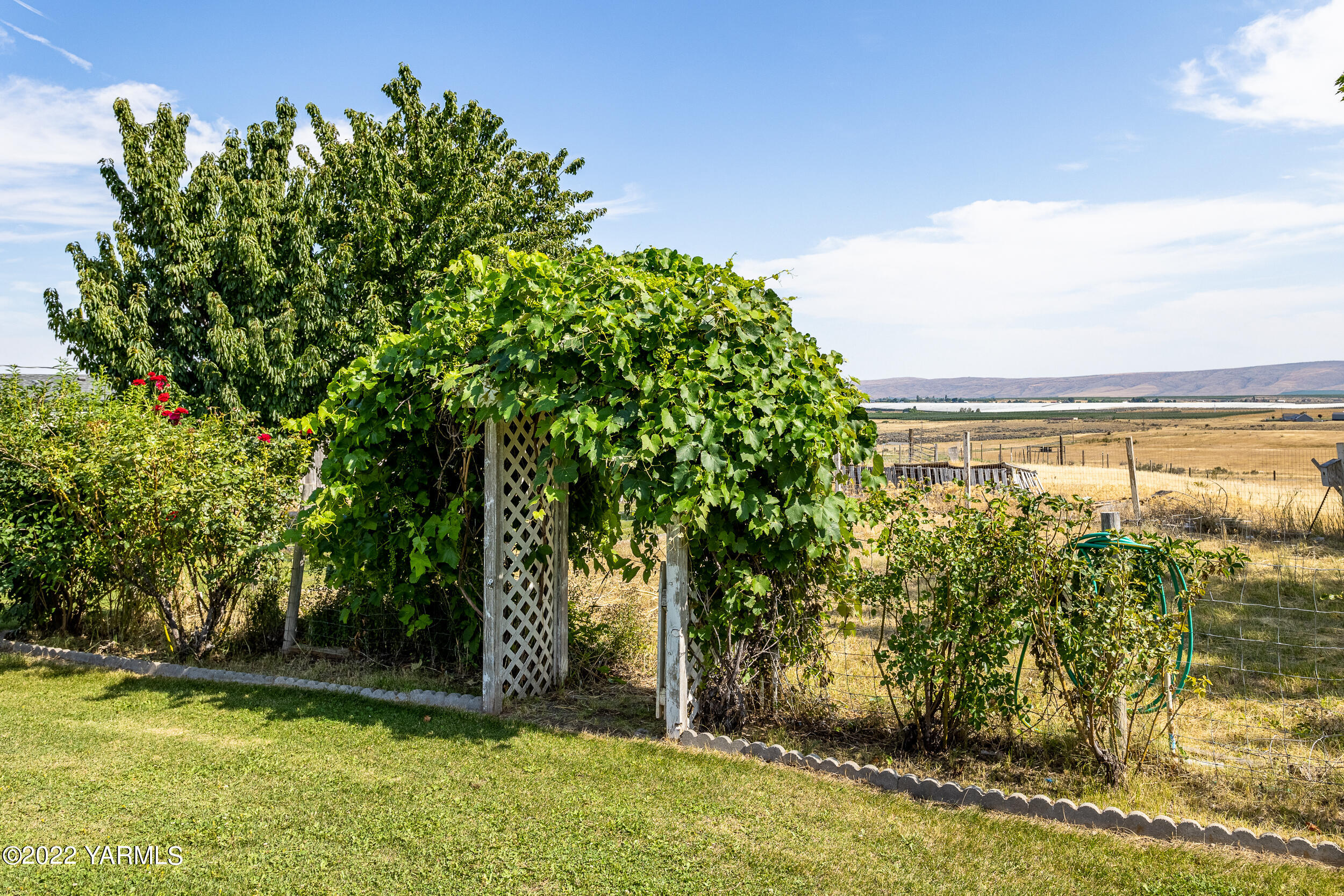 341 Winchester Road Yakima, WA 98908 - Photo 36 of 38 a view of a yard with an trees