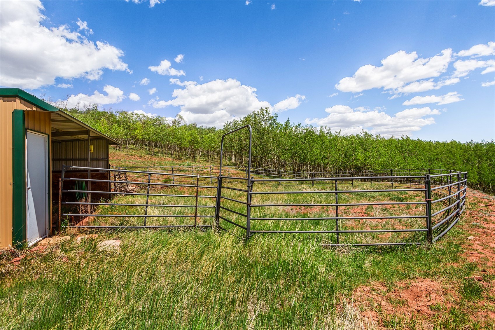 36 Iron Mountain Road Fairplay, CO 80440 - Photo 41 of 44