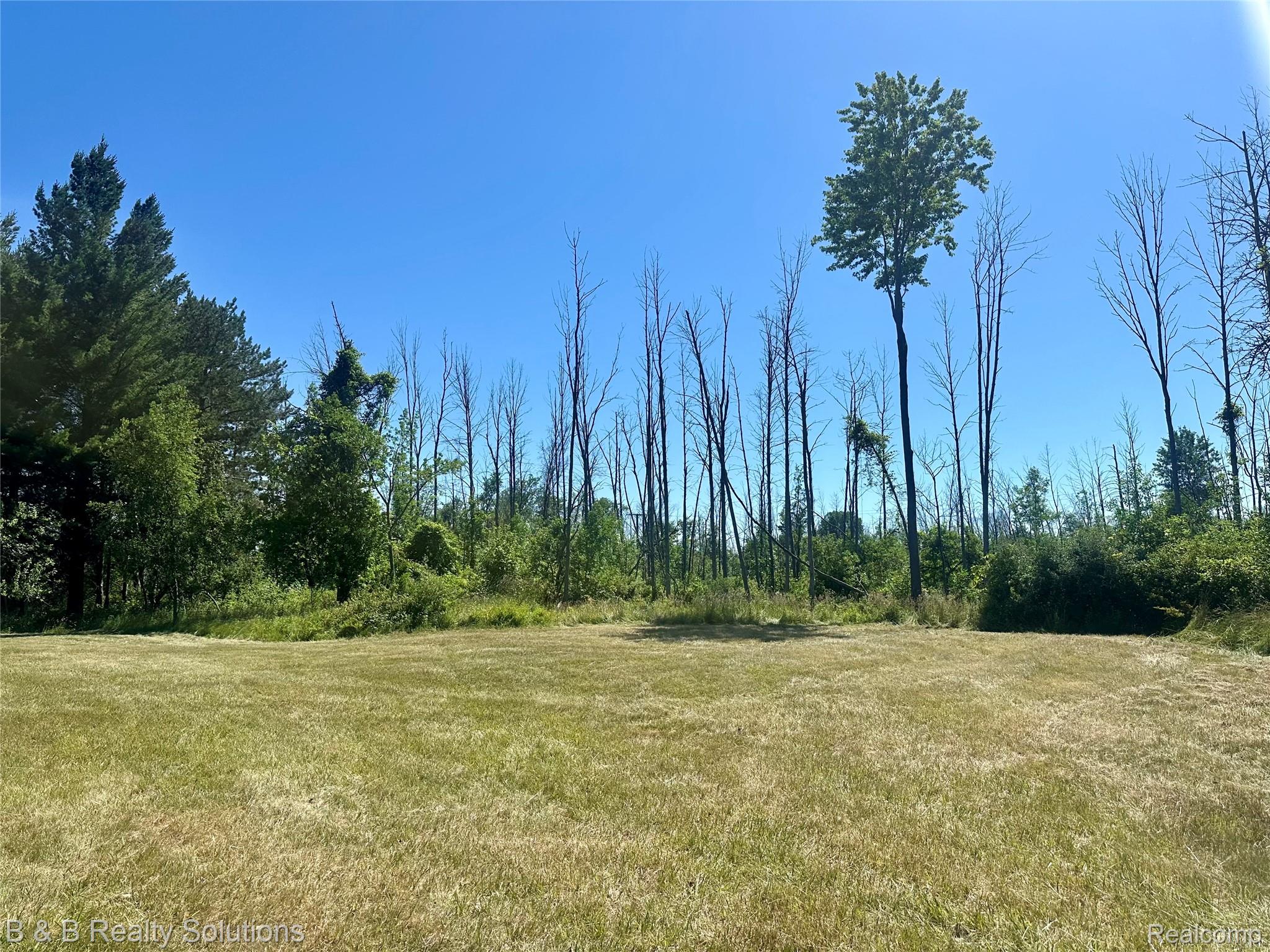 0 Elm Road Port Hope, MI 48468 - Photo 9 of 46 FullSizeRender(6).jpg