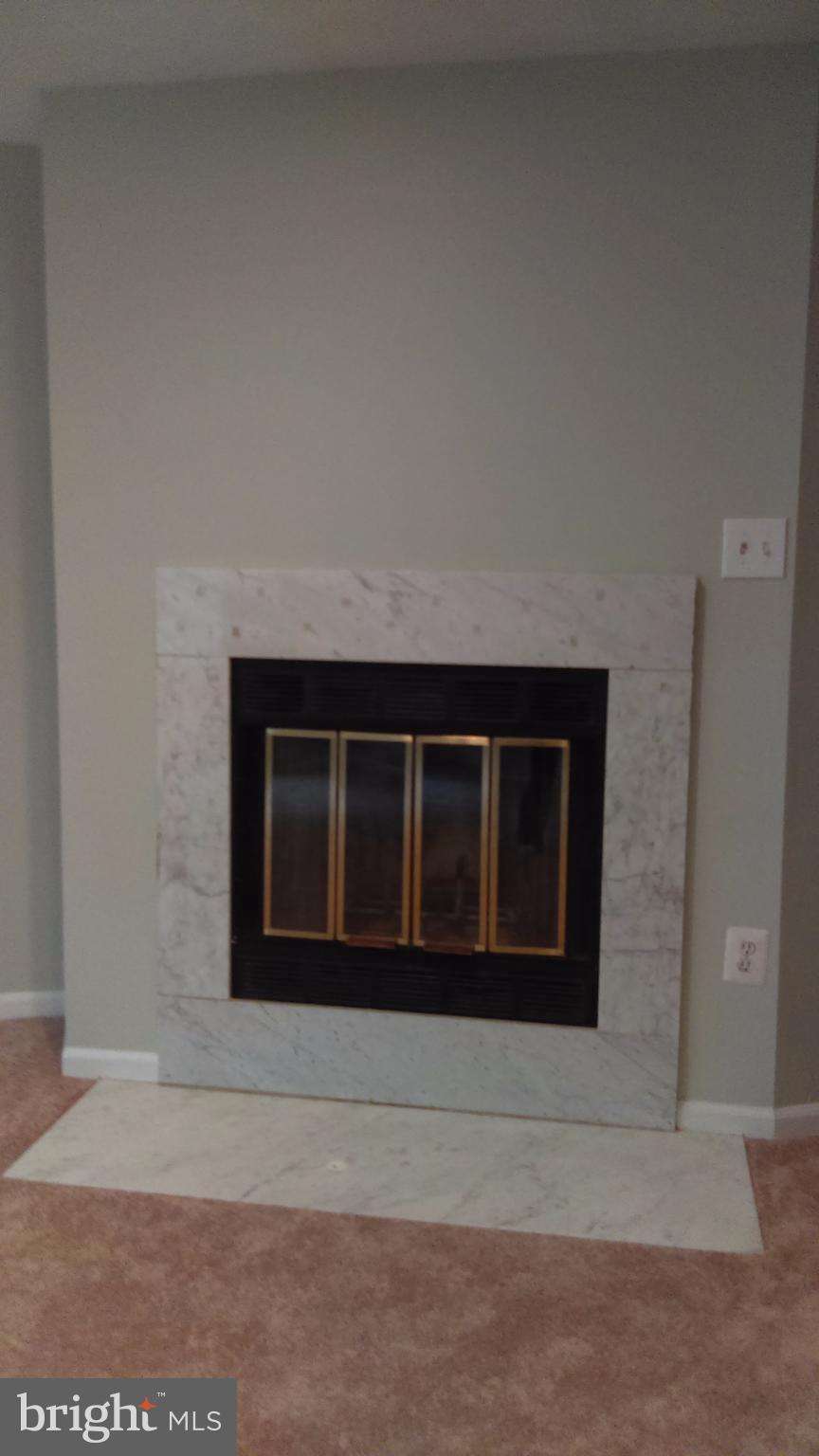 14116 Aldora Circle Silver Spring, MD 20904 - Photo 19 of 30 a living room with a fireplace