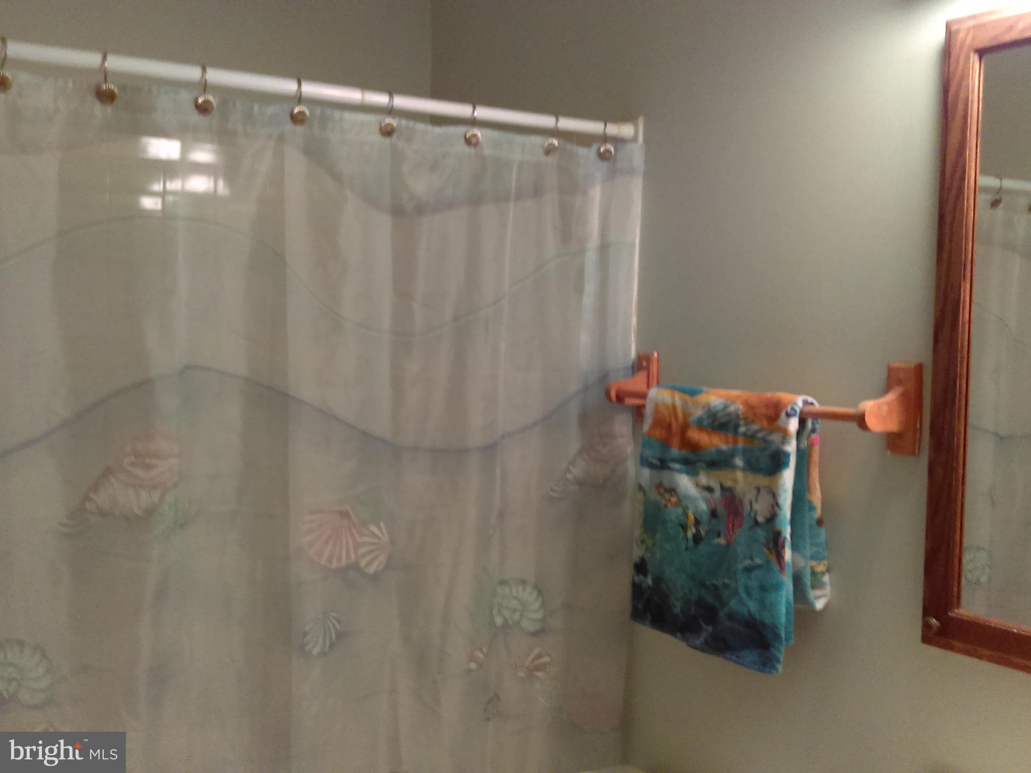 14116 Aldora Circle Silver Spring, MD 20904 - Photo 24 of 30 a bathroom with a shower curtain and a shower curtain