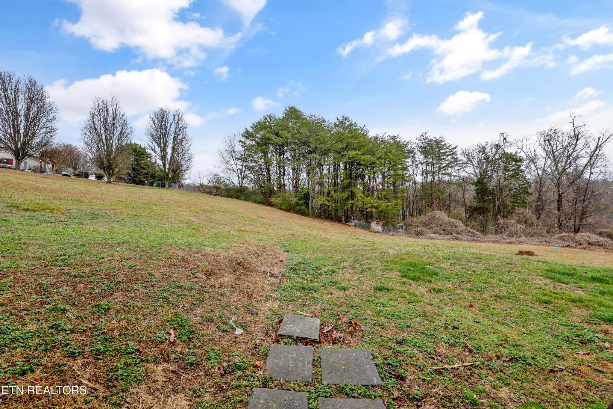 47 Paint Rock Ferry Road Kingston, TN 37763 - Photo 29 of 38 a view of a field with an trees