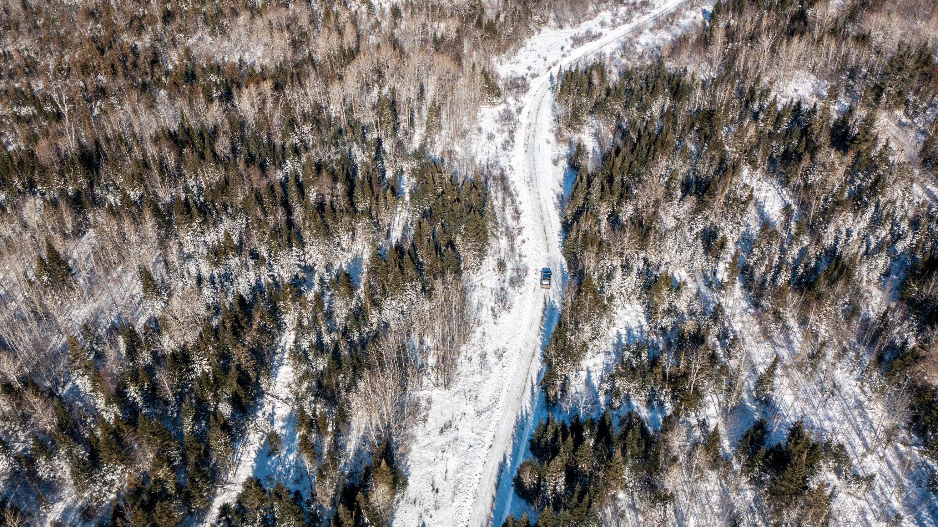 2 R 159/ Belvedere Road Crystal, ME 04747 - Photo 21 of 44 3900 +_- Acre Kingdom Parcel(19)