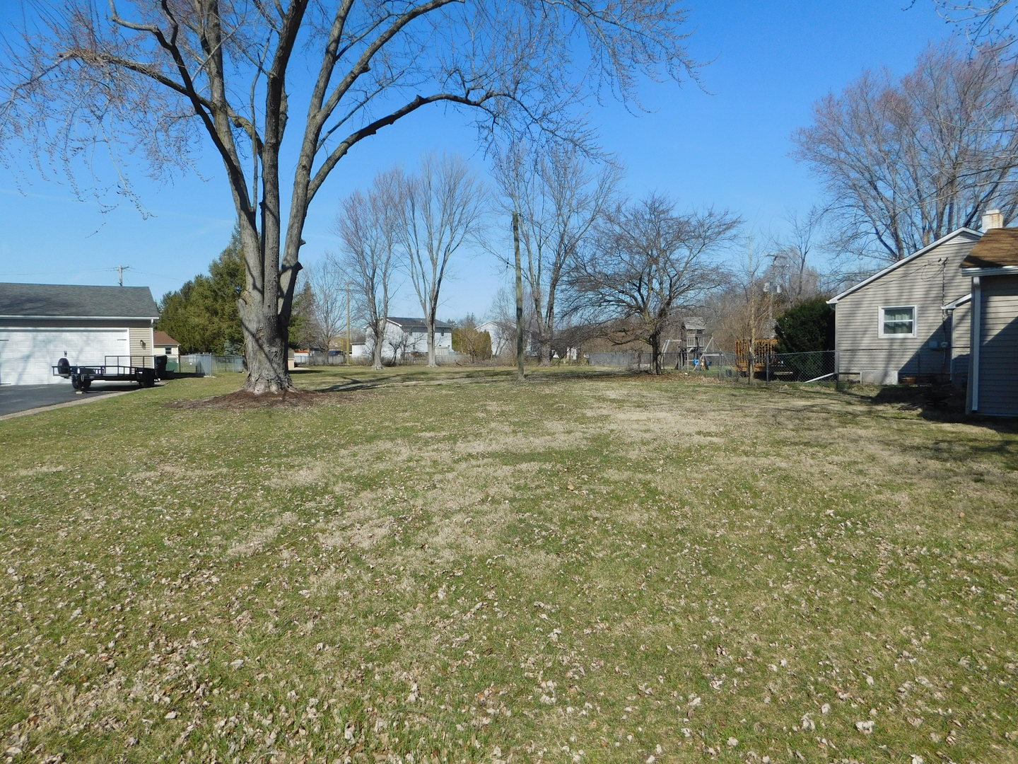 a view of a yard with a tree