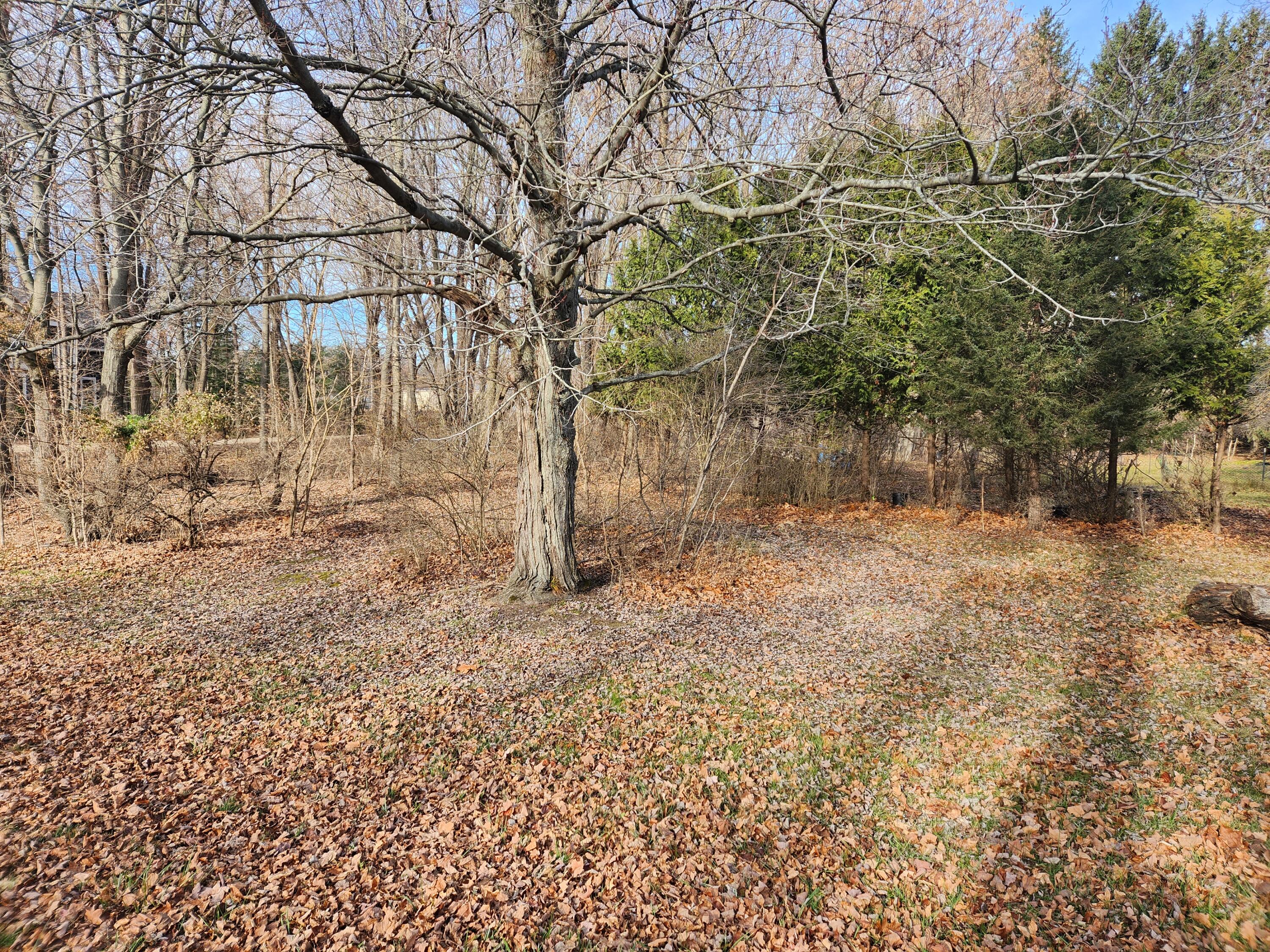 0 Harbert Road Sawyer, MI 49125 - Photo 3 of 3 20231215_123519