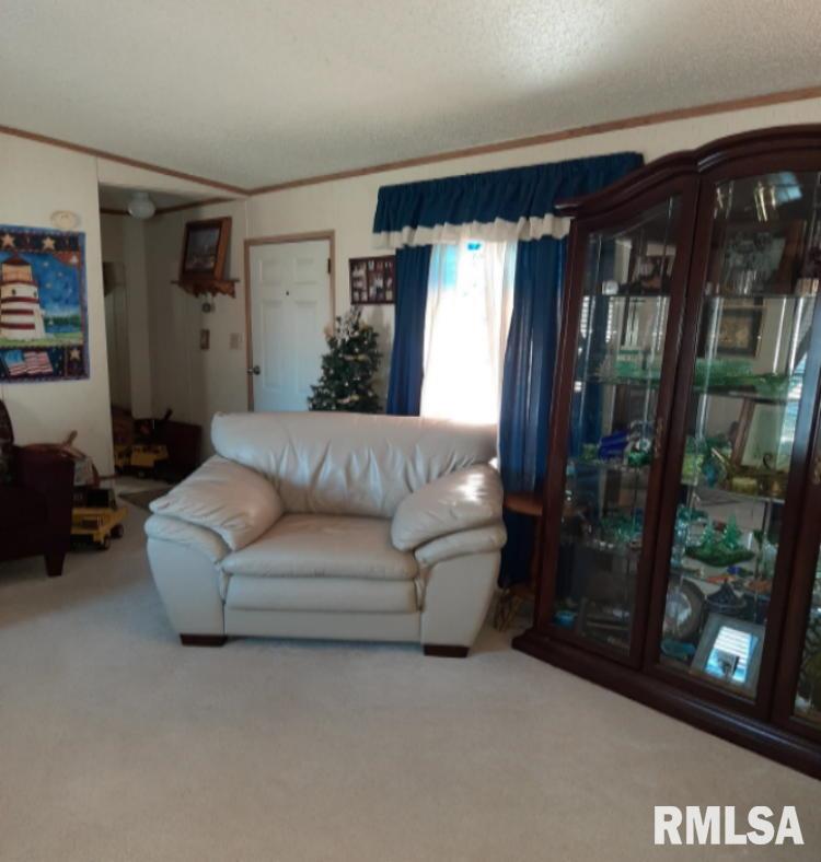 405 Ridgway Road Eldorado, IL 62930 - Photo 43 of 43 Gallery Image 43