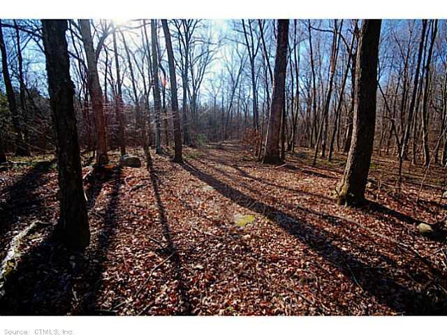 53 Judd Hill Road Bethany, CT 06524 - Photo 1 of 1 a view of a backyard of the house