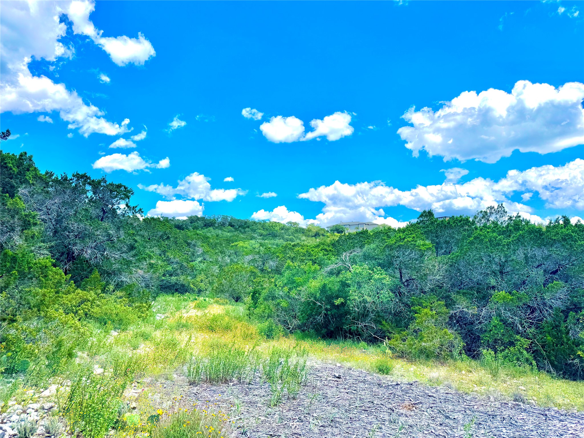 Lot 2-unit Private Road Mico, TX 78056 - Photo 1 of 1 View of mountain backdrop featuring a heavily wooded area