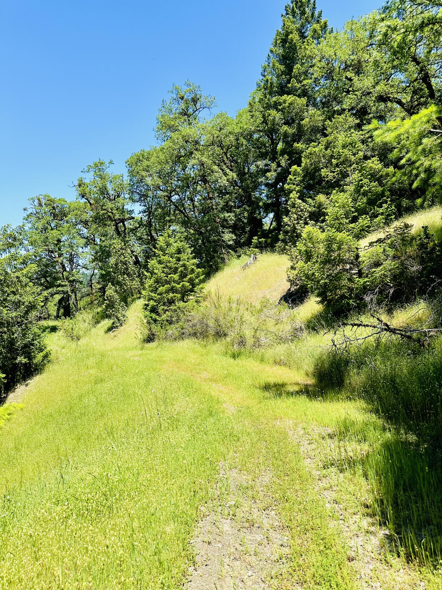 400 Seely Creek Road Redway, CA 95560 - Photo 46 of 73