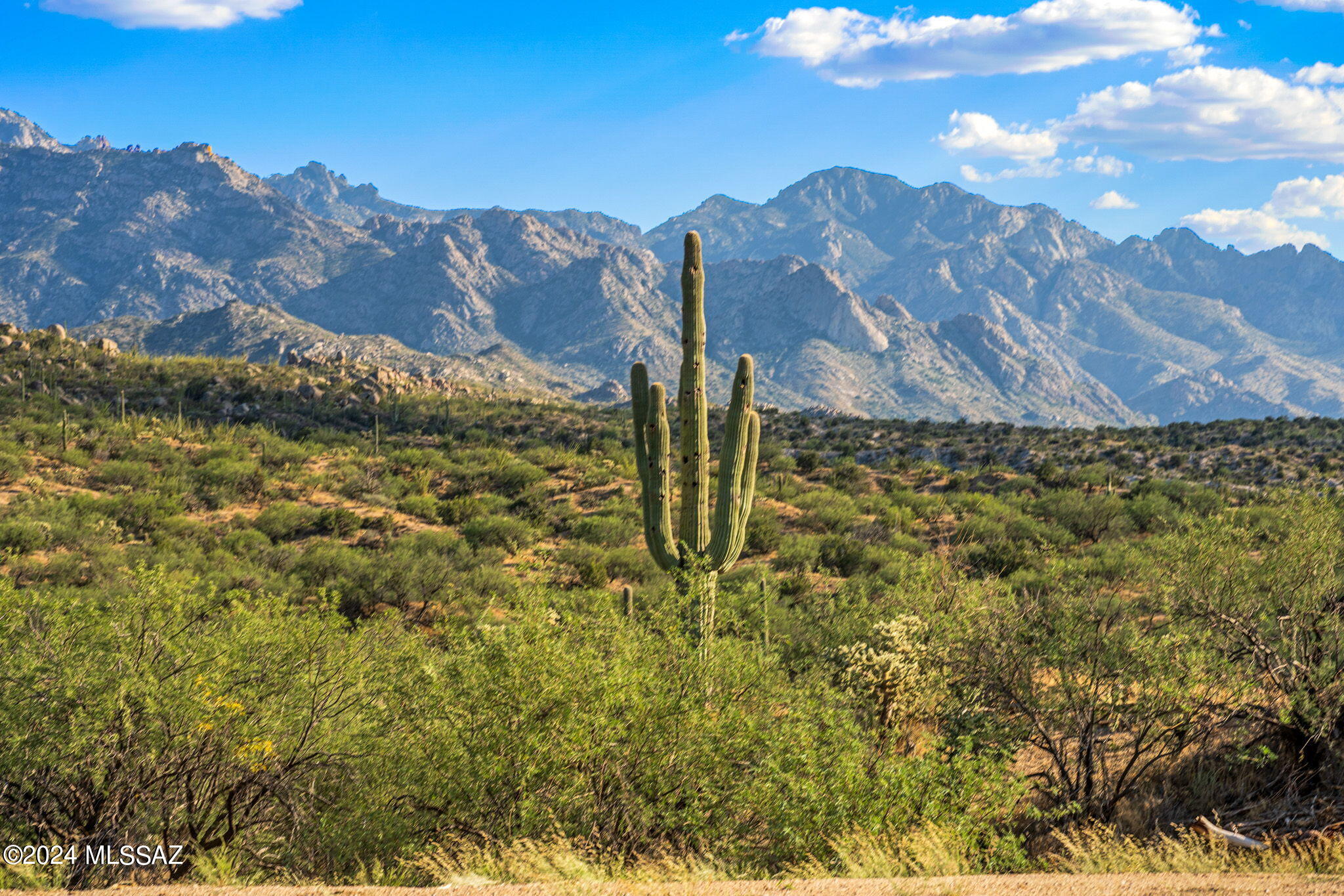 16500 North Ridge Rock Trail Tucson, AZ 85739 - Photo 3 of 29 6-web-or-mls-16500 N Ridge Rock Trail -