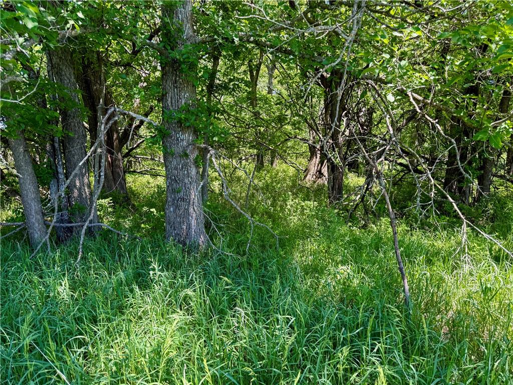 0 South Stanley Road Quenemo, KS 66528 - Photo 26 of 44