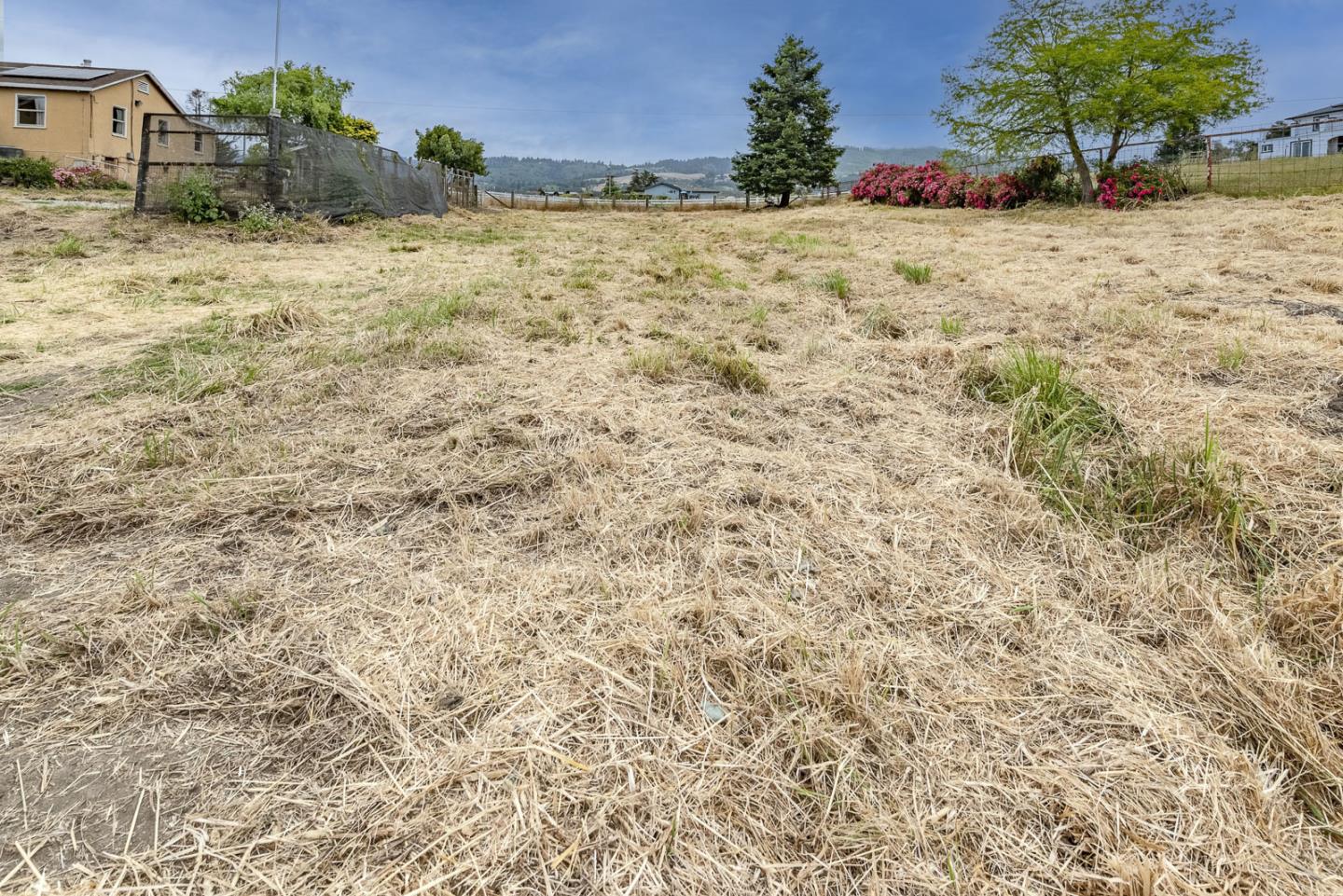 137 Whiting Road Watsonville, CA 95076 - Photo 42 of 52 a view of a yard with trees
