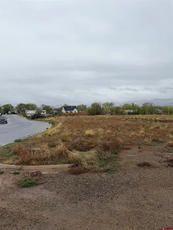 $75,000 | Tbd Tbd Chisholm Place, Cortez, CO 81321