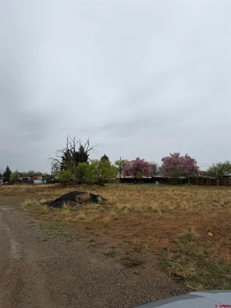 $75,000 | Tbd Tbd Chisholm Place, Cortez, CO 81321