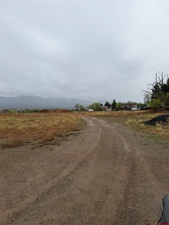 $75,000 | Tbd Tbd Chisholm Place, Cortez, CO 81321