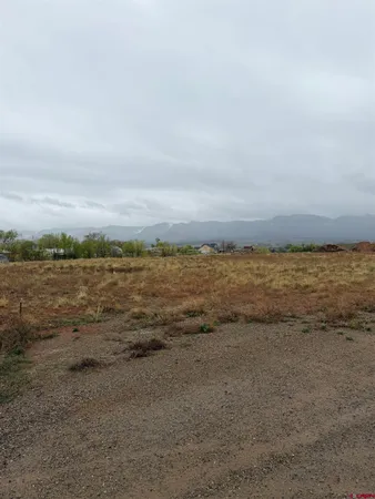 $75,000 | Tbd Tbd Chisholm Place, Cortez, CO 81321