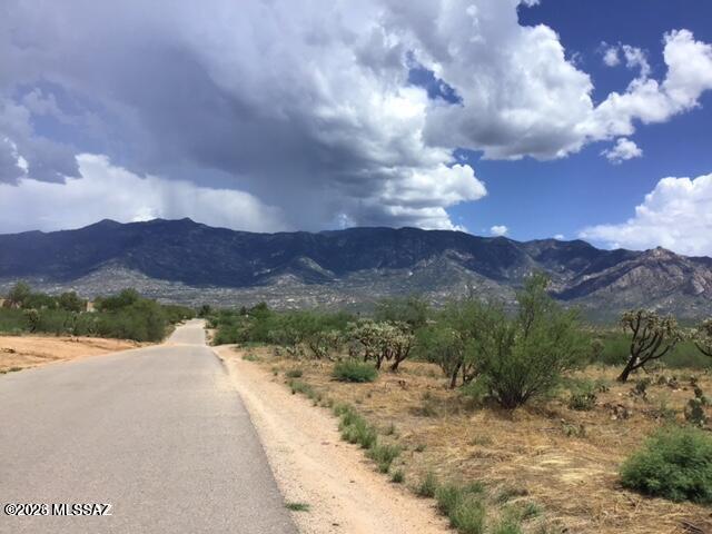 3515 East Rollins Road Tucson, AZ 85739 - Photo 30 of 30 Mountain views