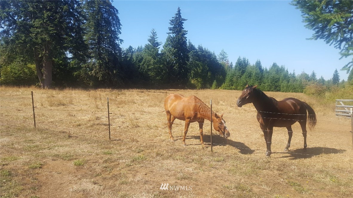101 Beck Road Onalaska, WA 98570 - Photo 11 of 18 Gallery Image 11