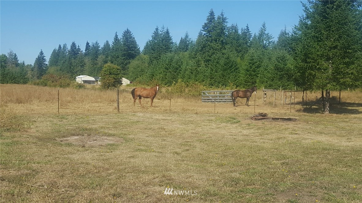 101 Beck Road Onalaska, WA 98570 - Photo 12 of 18 Gallery Image 12