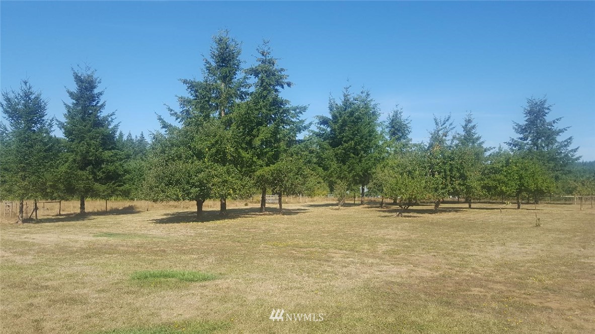 101 Beck Road Onalaska, WA 98570 - Photo 13 of 18 Gallery Image 13