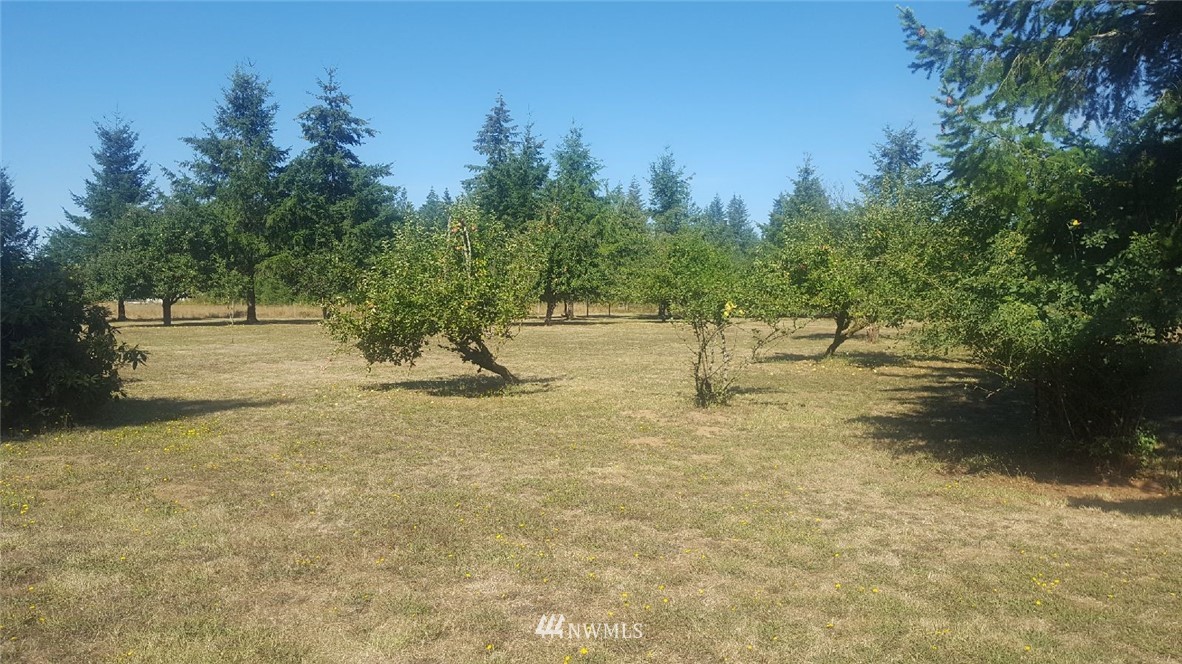 101 Beck Road Onalaska, WA 98570 - Photo 14 of 18 Gallery Image 14