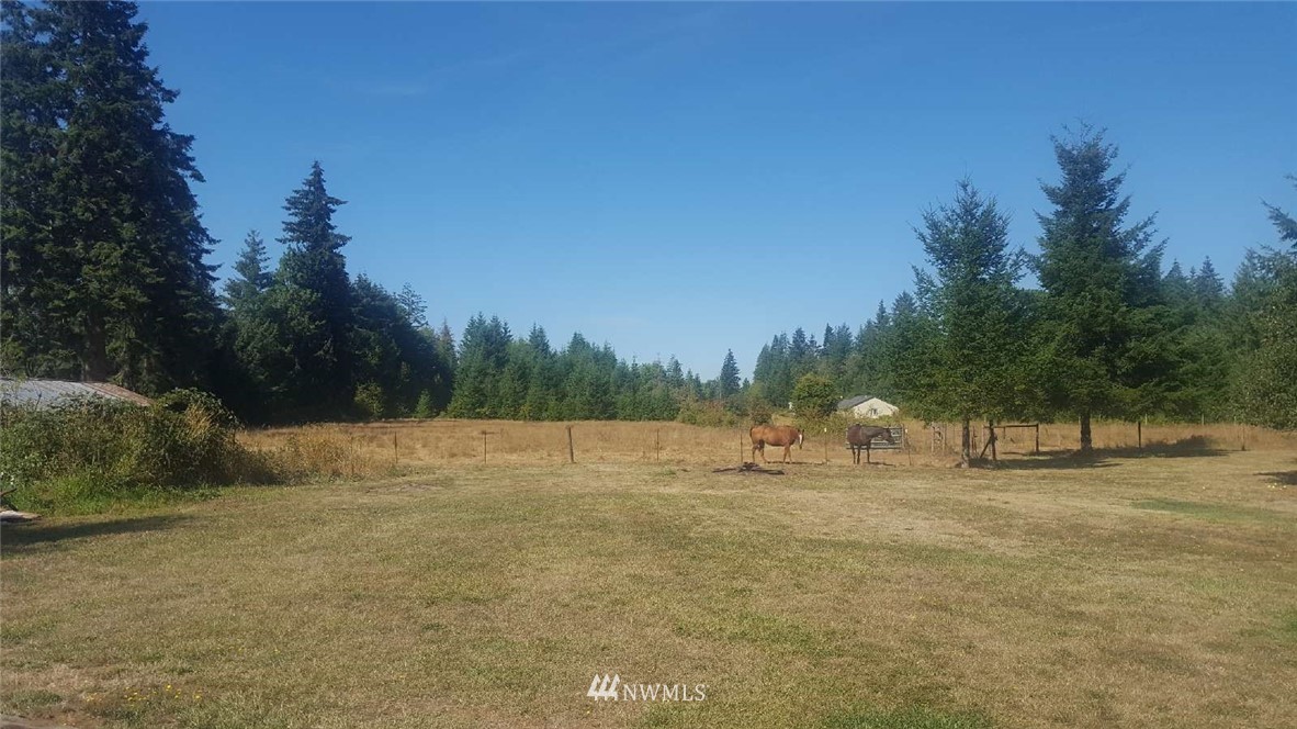 101 Beck Road Onalaska, WA 98570 - Photo 17 of 18 Gallery Image 17
