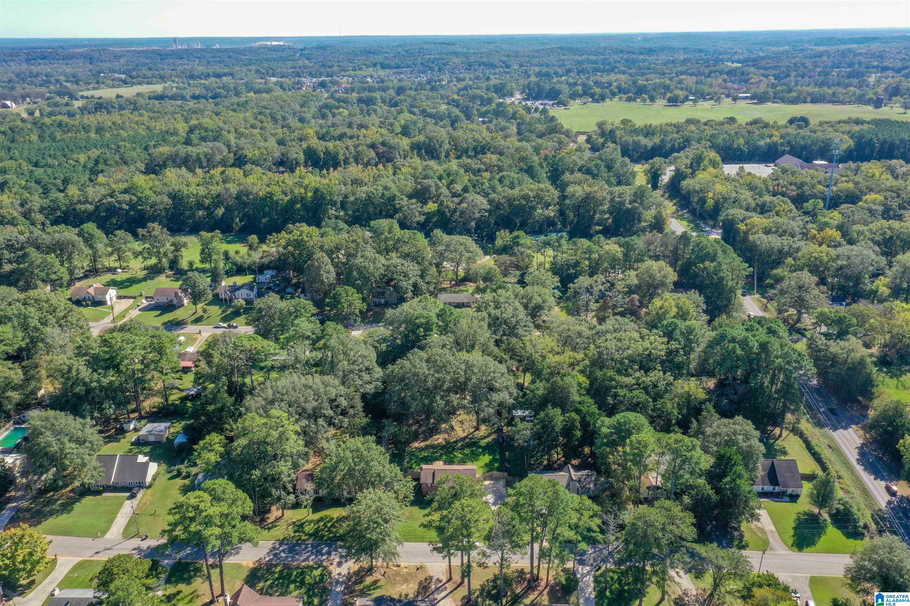 19 Monte Bello Lane Montevallo, AL 35115 - Photo 60 of 66