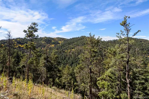 $80,000 | 13126 Andiron Way, Larkspur, CO 80118