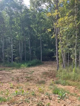 $14,995 | 91 Madison Cr, Fredericktown, MO 63645