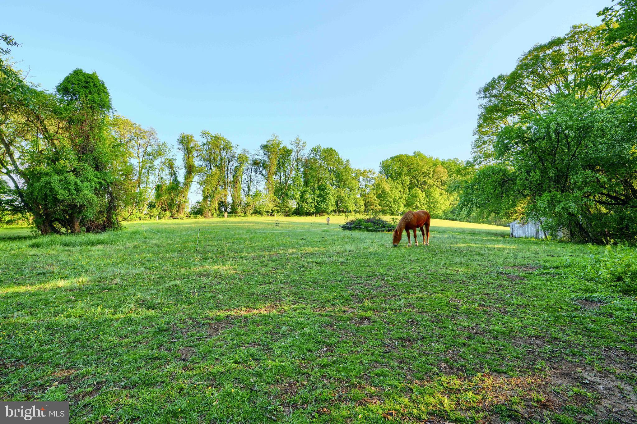 903 West Ring Factory Road Joppa, MD 21085 - Photo 36 of 66 Fields