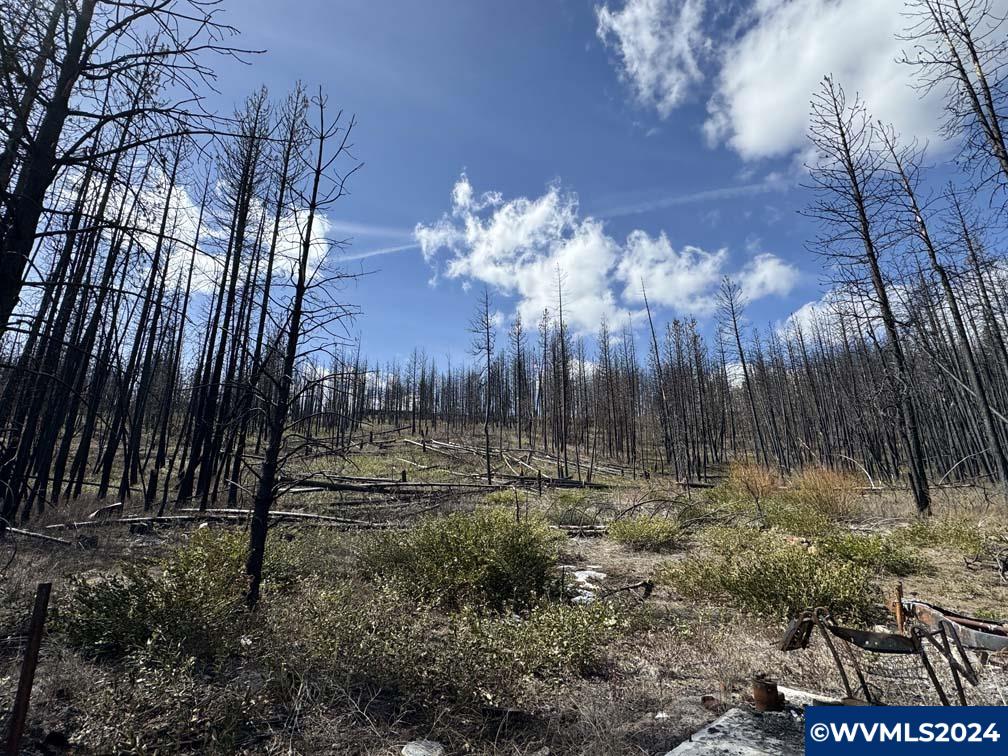 800 Nf 4464 Road Chiloquin, OR 97624 - Photo 4 of 25
