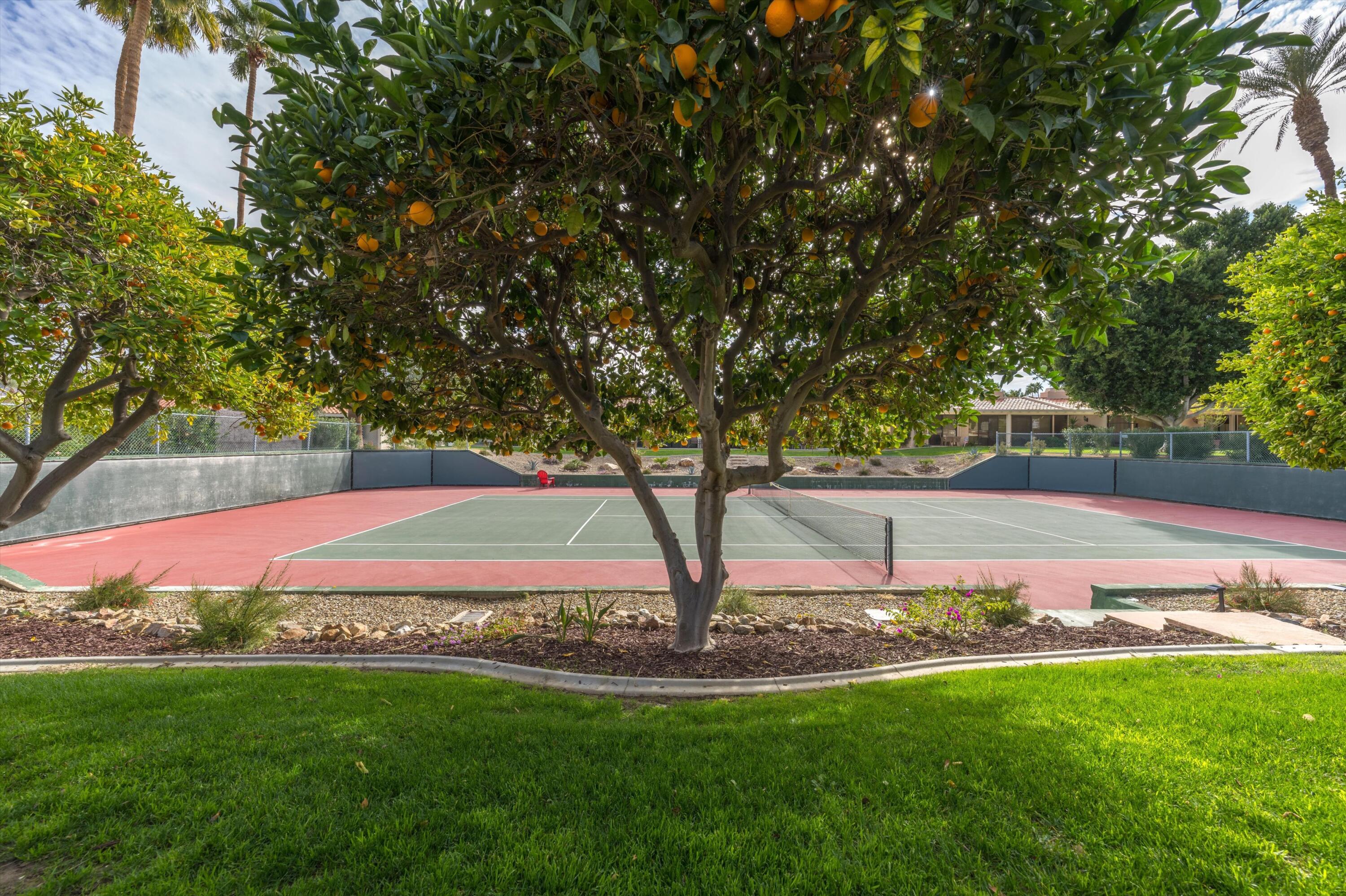 75193 Concho Drive Indian Wells, CA 92210 - Photo 14 of 30 29-50748422