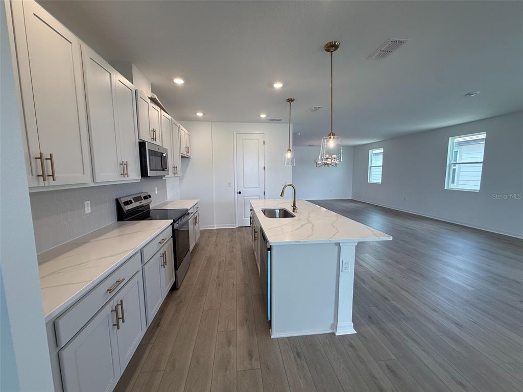 30153 Misty Pines Road Mount Dora, FL 32757 - Photo 7 of 25