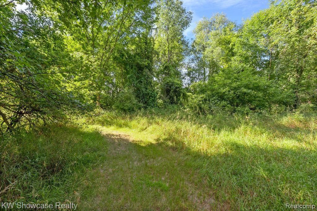 Vacant Ripple Way White Lake, MI 48383 - Photo 6 of 12