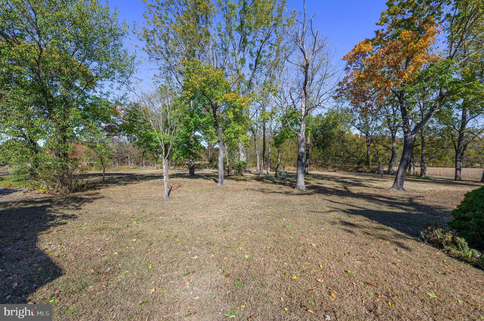 69 Chairville Road Medford, NJ 08055 - Photo 42 of 47 Backs to trees /open farm land