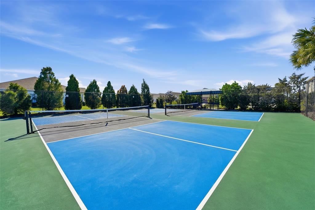 14307 Skipping Stone Loop Parrish, FL 34219 - Photo 89 of 91