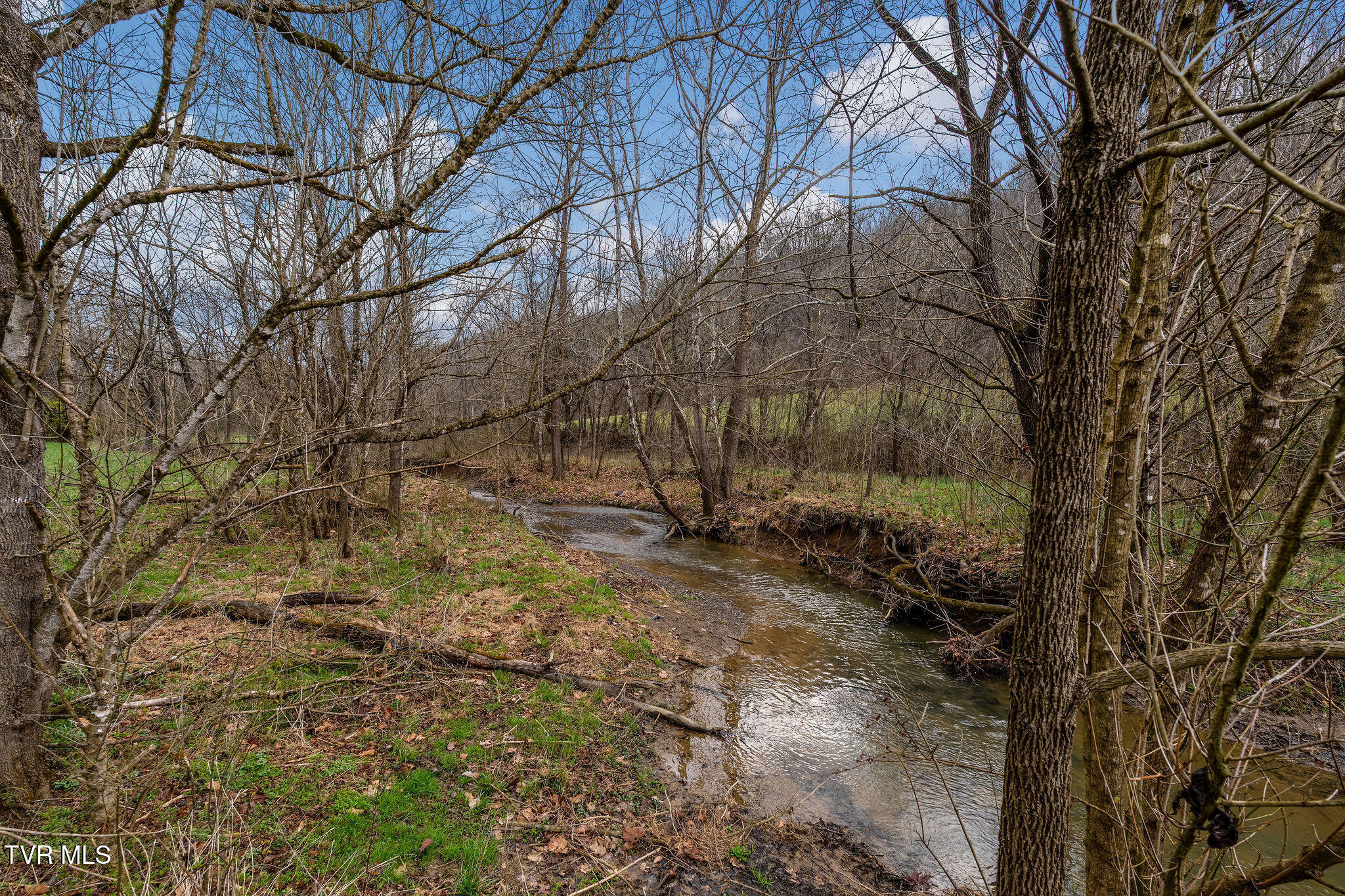 Tbd Piney Flats Road Watauga, TN 37694 - Photo 17 of 60 DSC07392