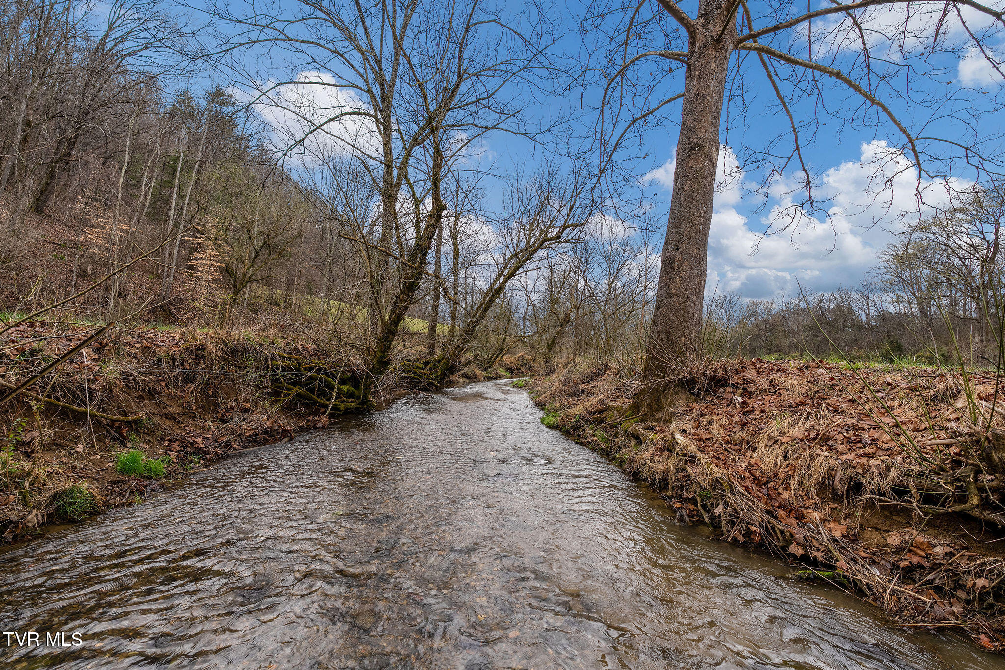 Tbd Piney Flats Road Watauga, TN 37694 - Photo 18 of 60 DSC07387