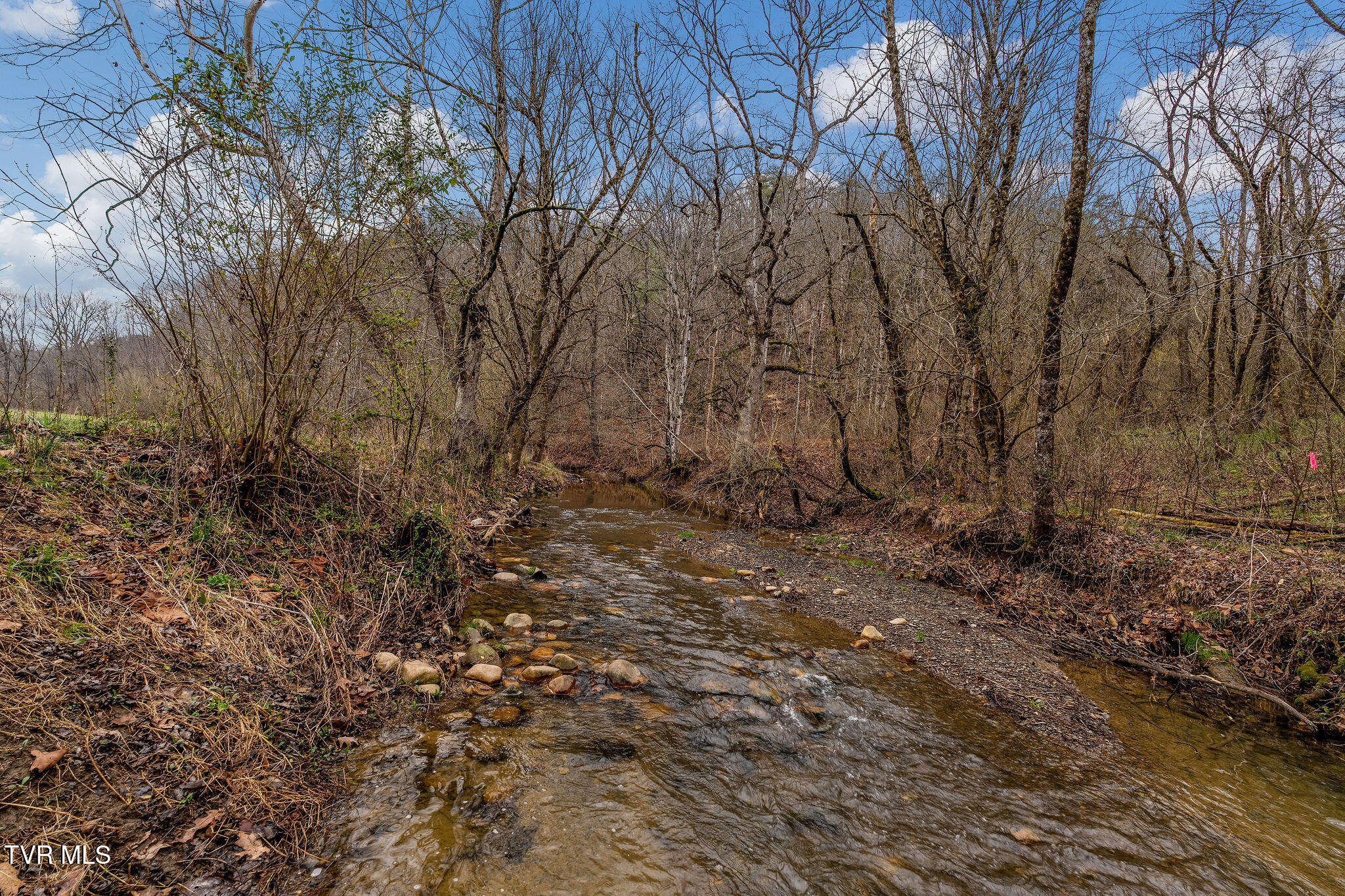 Tbd Piney Flats Road Watauga, TN 37694 - Photo 20 of 60 DSC07396