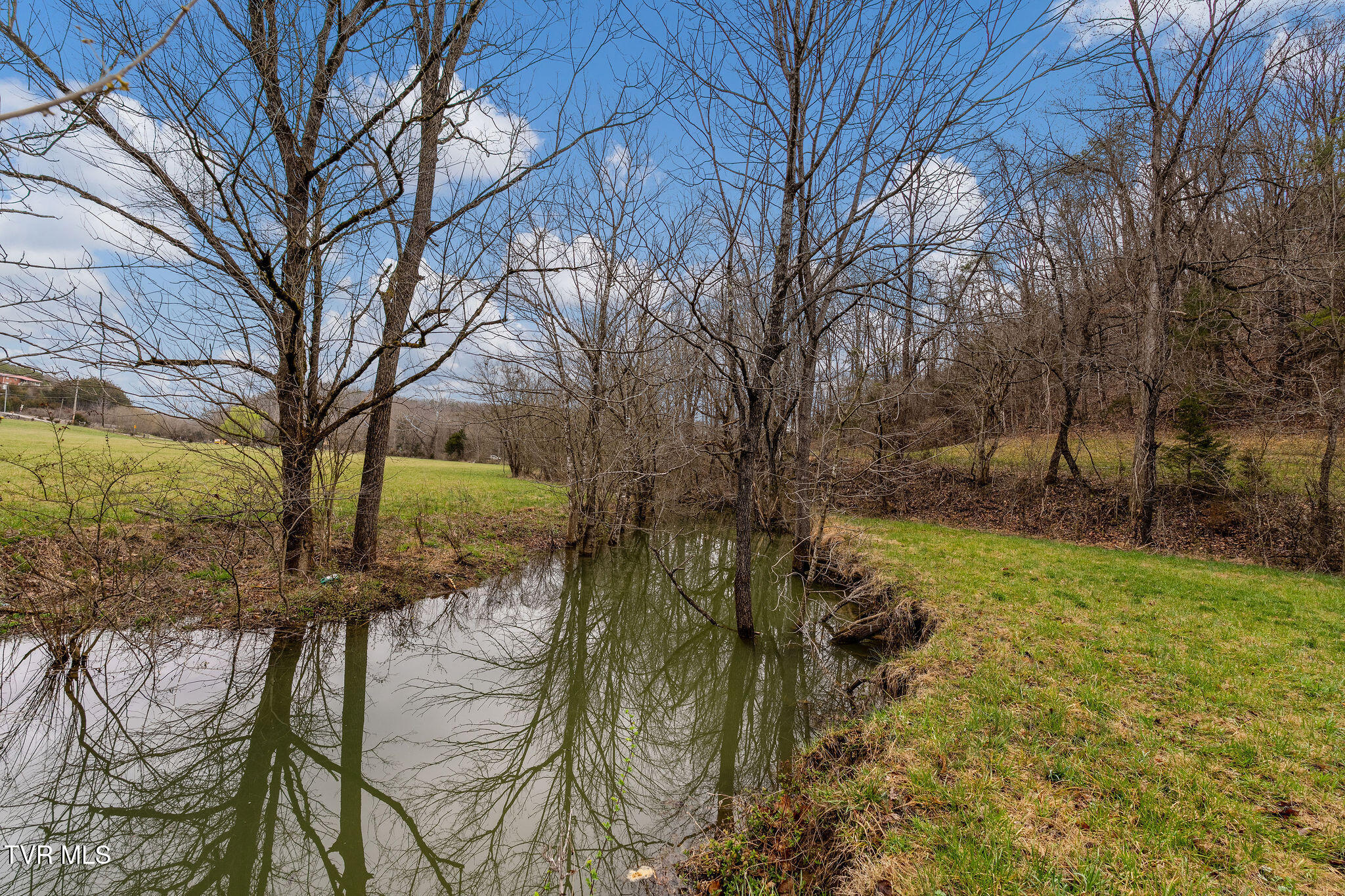 Tbd Piney Flats Road Watauga, TN 37694 - Photo 21 of 60 DSC07404
