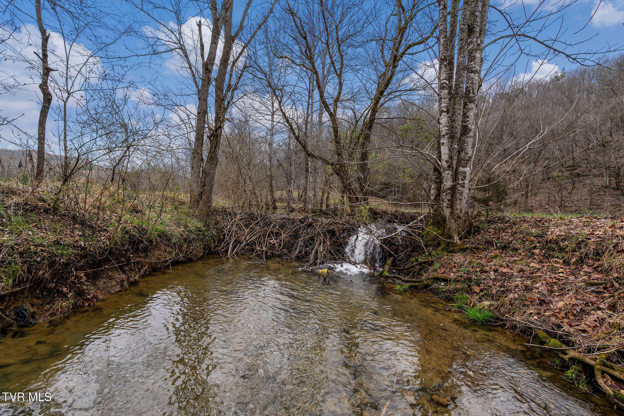 Tbd Piney Flats Road Watauga, TN 37694 - Photo 22 of 60 DSC07408
