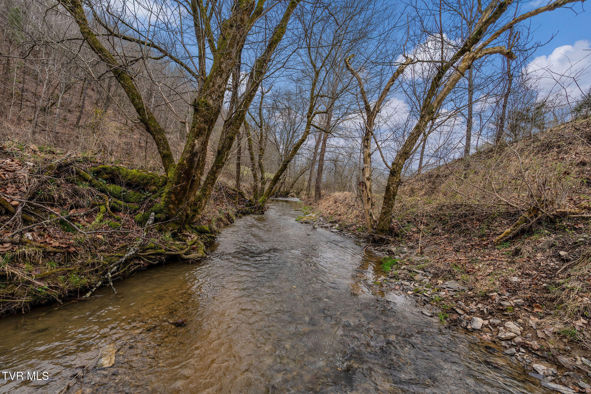 Tbd Piney Flats Road Watauga, TN 37694 - Photo 23 of 60 DSC07409
