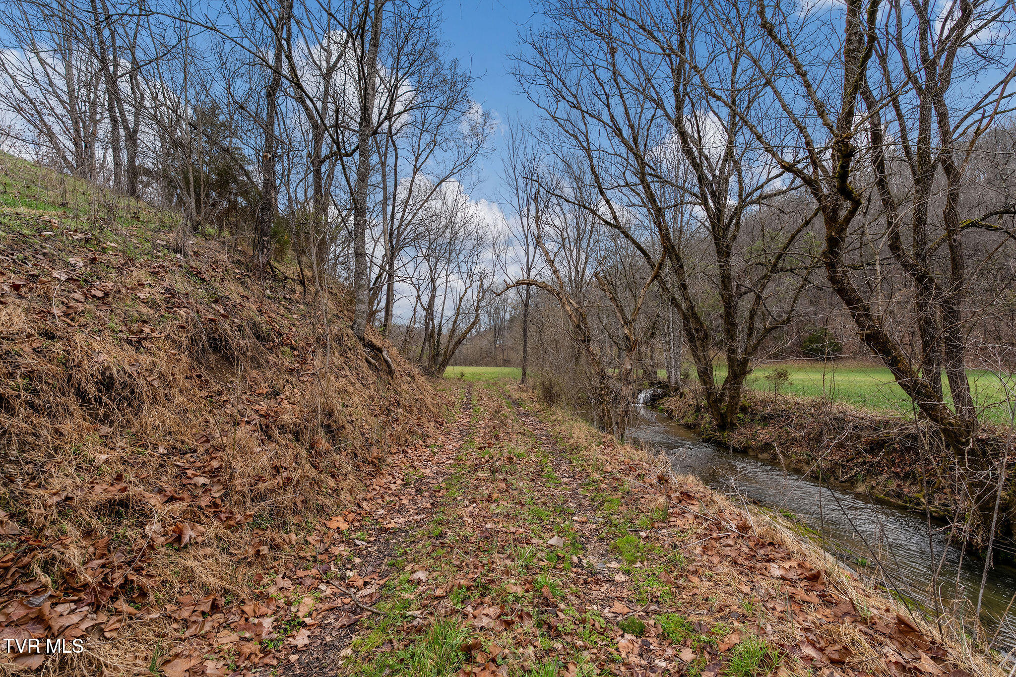 Tbd Piney Flats Road Watauga, TN 37694 - Photo 24 of 60 DSC07400