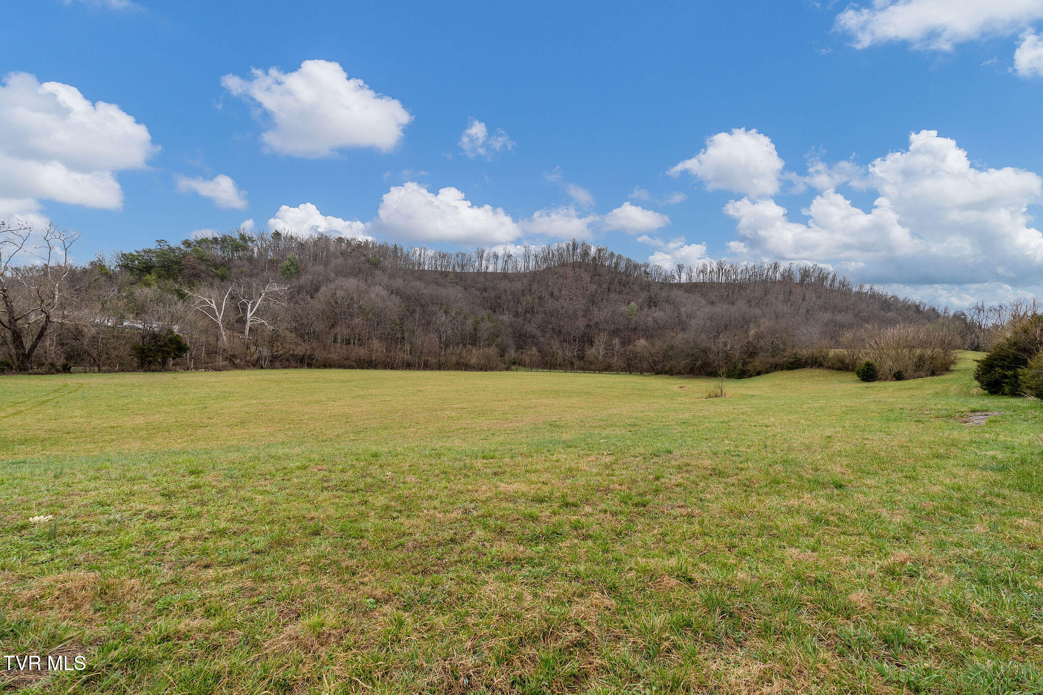Tbd Piney Flats Road Watauga, TN 37694 - Photo 27 of 60 DSC07378